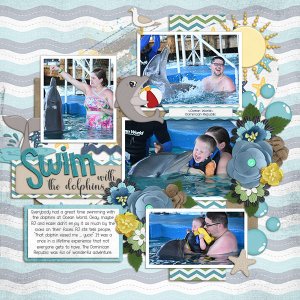 Swim with the Dolphins