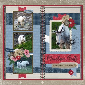 Mountain Goats