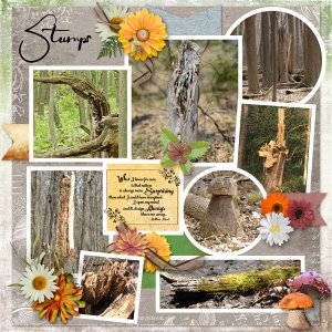 Stumps