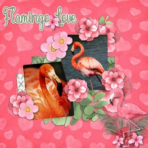 Flamingo Love