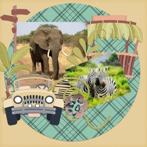 Safari QP