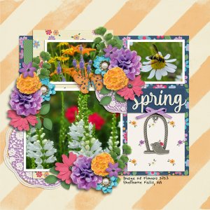 Bridge of Flowers 2023