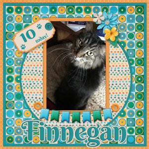 Happy Bday Finnegan 2023