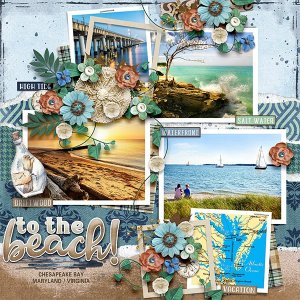 TO THE BEACH