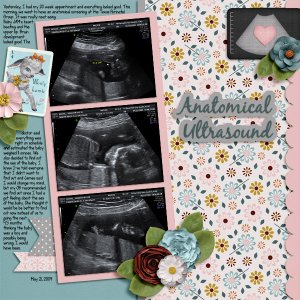 Anatomical Ultrasound