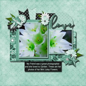 Mint Julep Flower