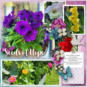 Seeds of Hope