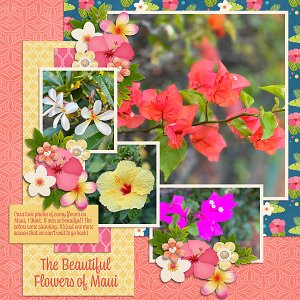 Flowers of Maui