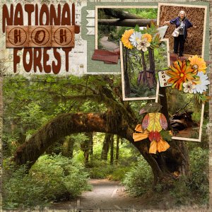 Hoh National Forest