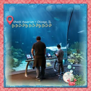 Shedd Aquarium 2019