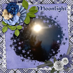 Moonlight1