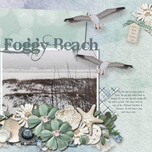 Foggy Beach