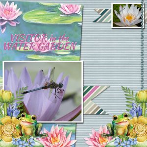 VISITOR in the WATER GARDEN
