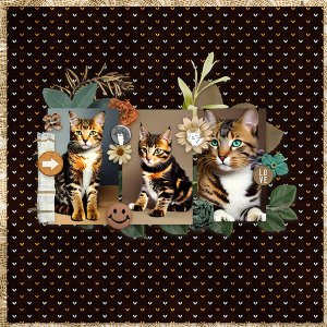 Meow