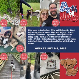 2023 week 27