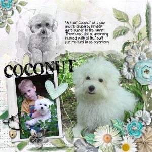 Coconut