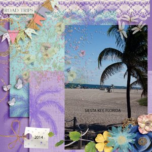 SIESTA KEY -BRUSH 7-23