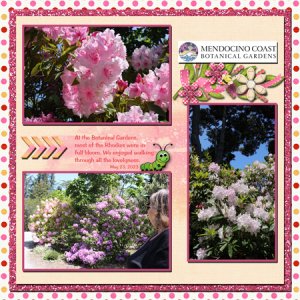 Mendocino Botanical Gardens