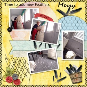 New Feathers