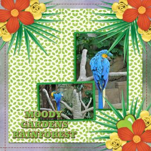 MOODY GARDENS RAINFOREST