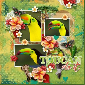 Toucan Do It