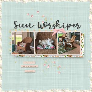 Sun Worshiper
