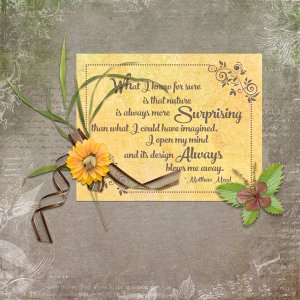 Surprising Nature
