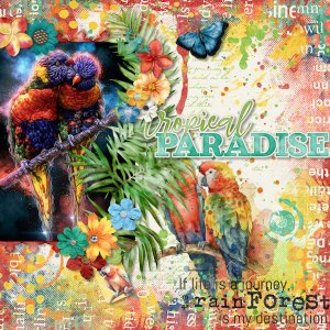 Parrots