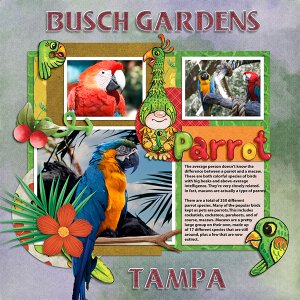 Busch Gardens - Macaws