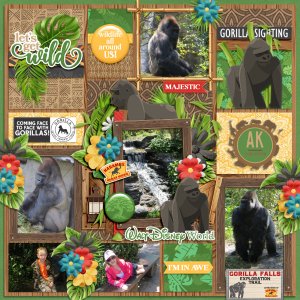 Gorilla Falls