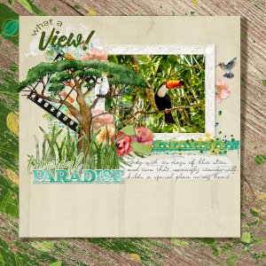 Tropical_rainforest