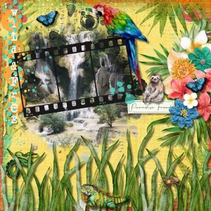 Paradise