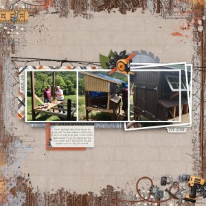 23-Building-the-Coop
