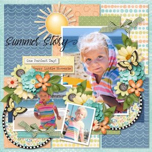 T. Summer project 6