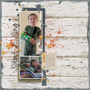 Splint