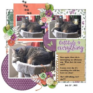 July 2023 Template #2 Challenge