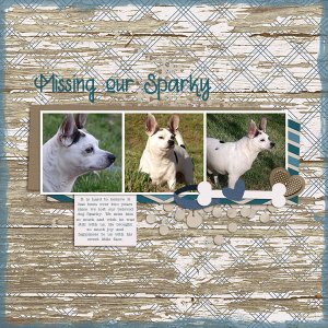 Missing Our Sparky