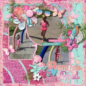Flamingo Road