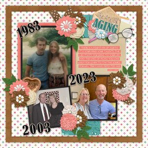 The Art Of Aging with Temp #2-Connie Prince