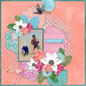 Shabby Shapes 1 Temp #4-Miss Fish Flamingo Road-Aimee