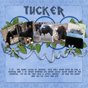 The Many Faces Of Tucker