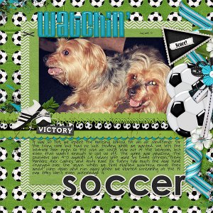 115-08-12-SoccerByCFALBRO