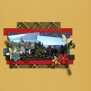 Donner's Pass