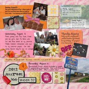Journal 366, Week 32