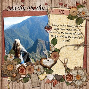 Machu Picchu