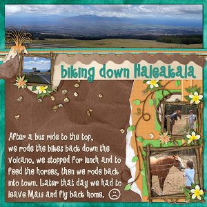 Biking Haleakala