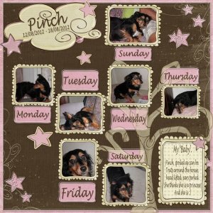 Project_365_Week_33