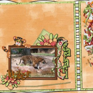 Tiger On Safari