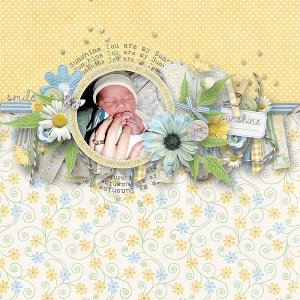 pjk-You are my Sunshine