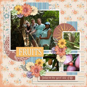 Goa Fruits